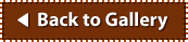 Back to Gallery